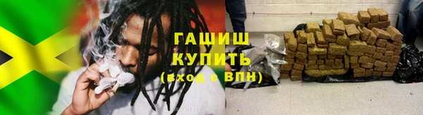 прущие грибы Алзамай