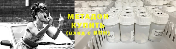 прущие грибы Алзамай