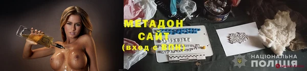 прущие грибы Алзамай