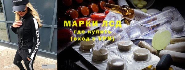 прущие грибы Алзамай