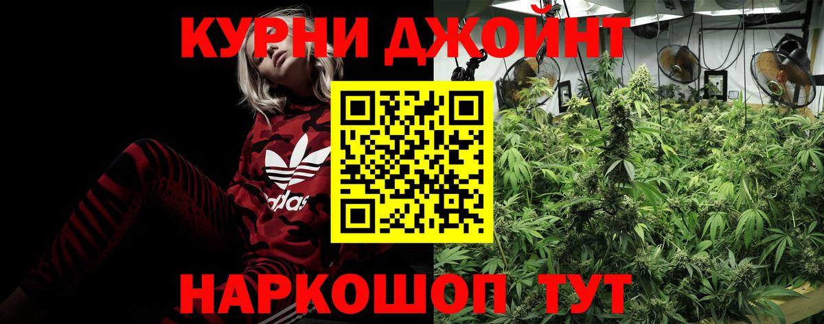 Бошки марихуана марихуана  Каннабис семена  Вход с VPN  Канабис семена  Коряжма 